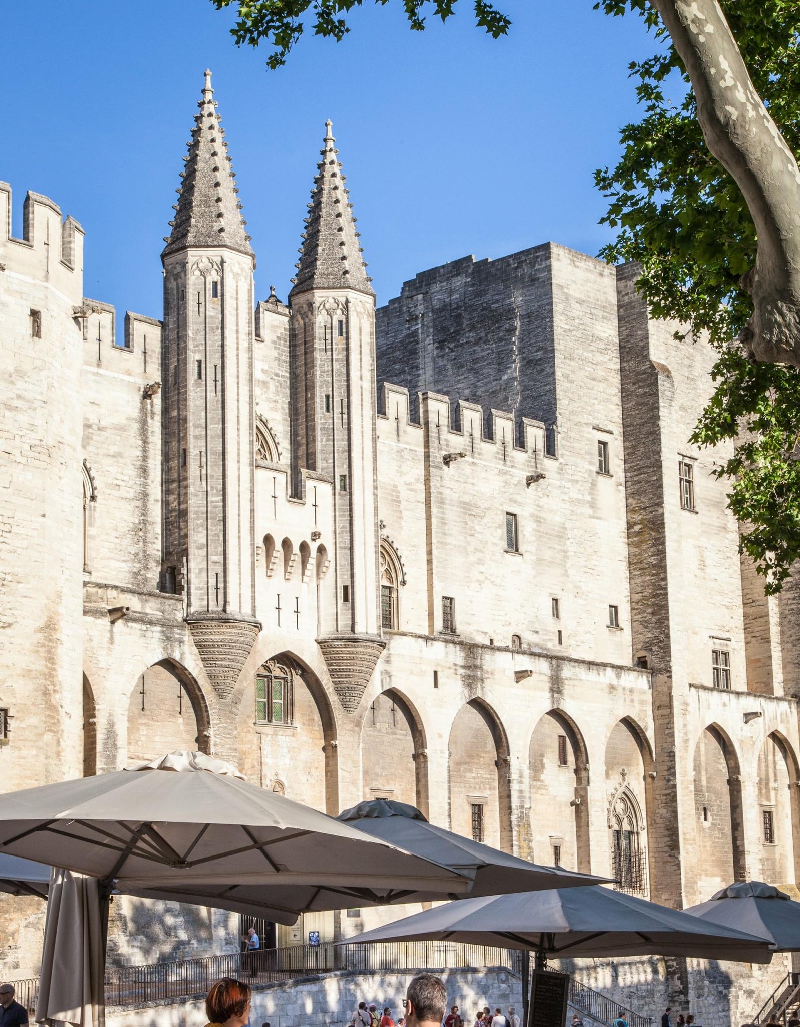 Palais Des Papes Pont Davignon Jardins Pontificaux Pont Saint Bénezet Avignon Tourisme 1737