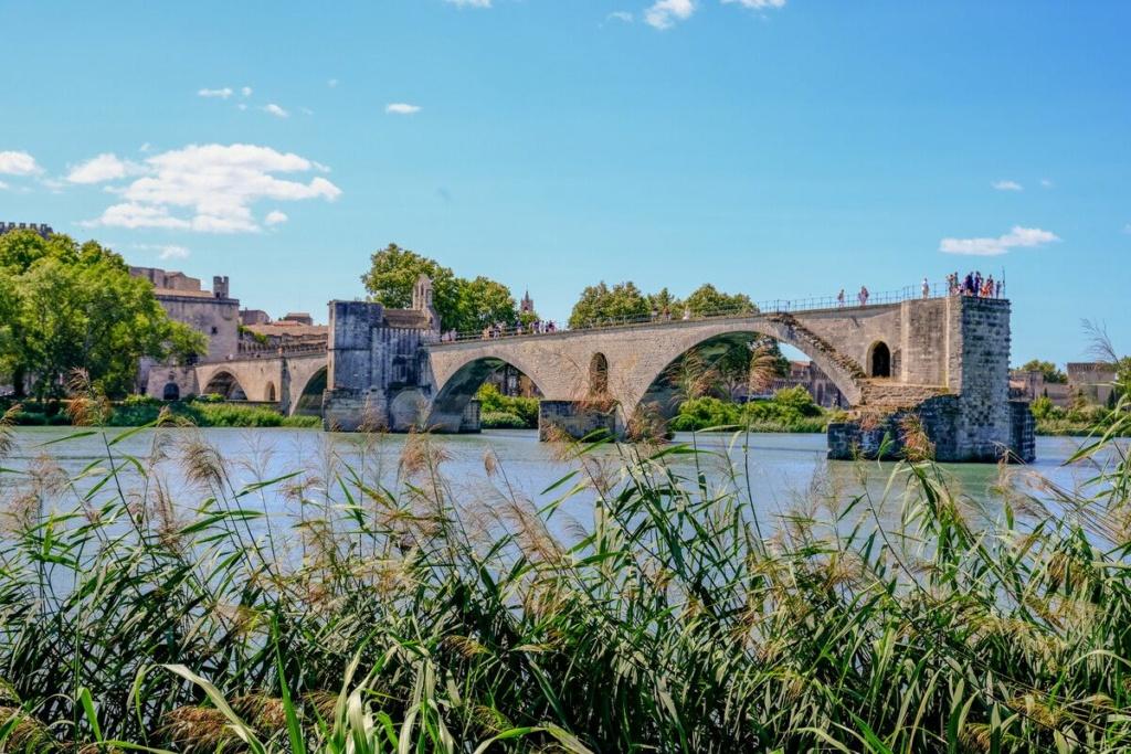 Roselière de la Barthelasse face au Pont St-Bénezet – ©OTresson / Avignon Tourisme